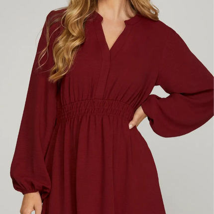 Long Sleeve Elastic Waist Woven Dress
