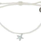 Starfish-White