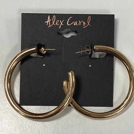 Alex Carol Hoops