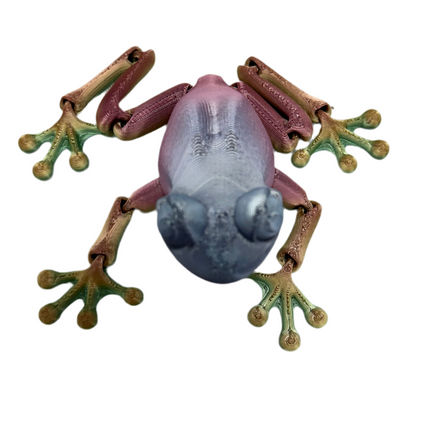 Frog- Medium