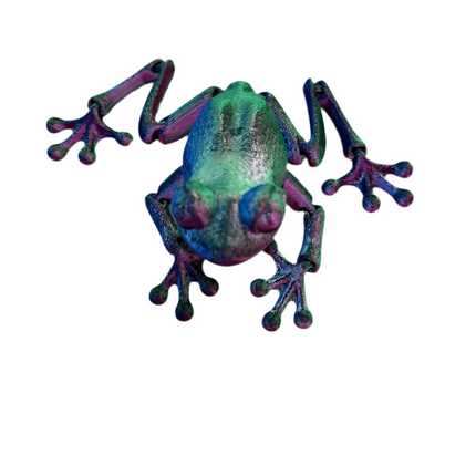 Frog- Medium